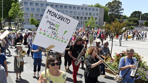 EN IMAGES. Marche contre Bayer-Monsanto à Lorient : « La pire pollution, c’est la résignation »