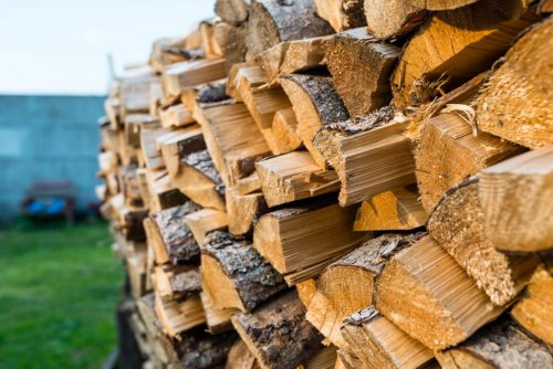 Ces erreurs courantes ruinent votre bois de chauffage pendant l’été : voici comment bien le stocker en attendant l’hiver