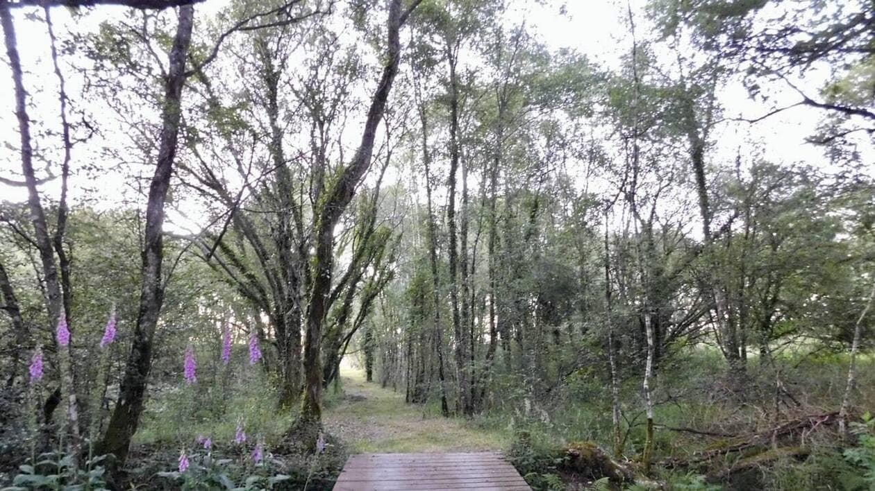 L’inventaire des cours d’eau mis à jour à Gourin