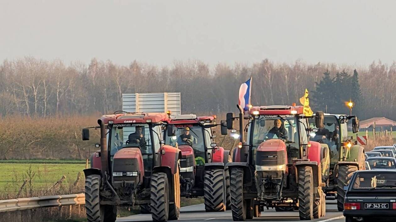 Mercosur : le Parlement européen adopte des protections renforcées pour les agriculteurs