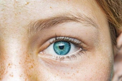 Les cils et les sourcils peuvent-ils vraiment repousser si on les coupe ou les rase ? - Edition du soir Ouest-