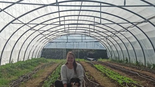 À 33 ans, elle lance son activité de maraîchage à Trégourez