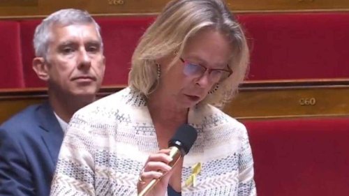 Harcèlement scolaire. La députée Renaissance Virginie Lanlo raconte les faits qu’elle a subis