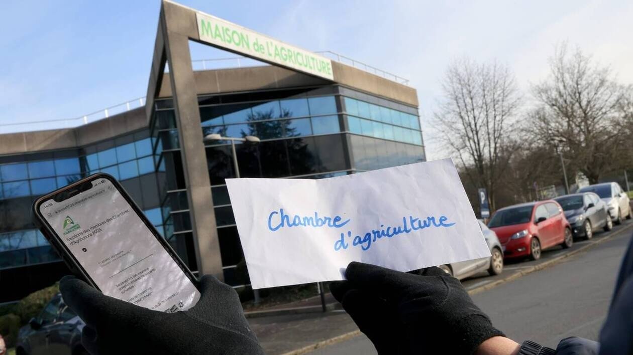Élections à la chambre d’agriculture de la Manche : 3 syndicats et le même problème de mobilisation