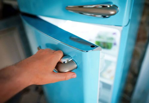Ce geste que tout le monde fait avec son frigo est un piège à bactéries à éviter d’urgence