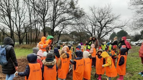 À Saint-Nazaire, 1000 arbres plantés par des élèves de CP