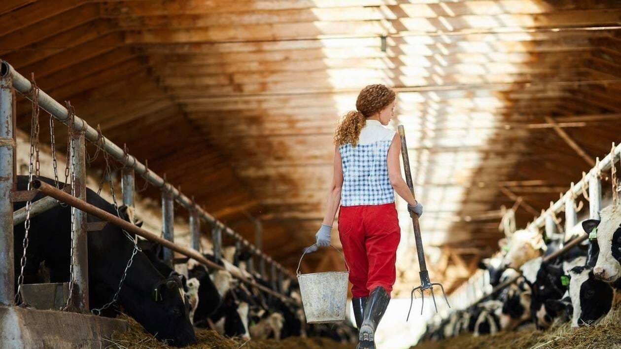 L’installation des agriculteurs et conchyliculteurs mieux aidée par l’agglomération de Vannes