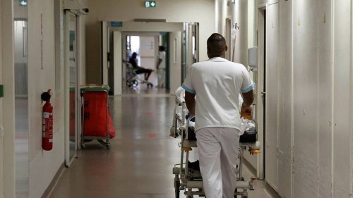 Première mondiale : une greffe de vessie humaine réussie aux États-Unis