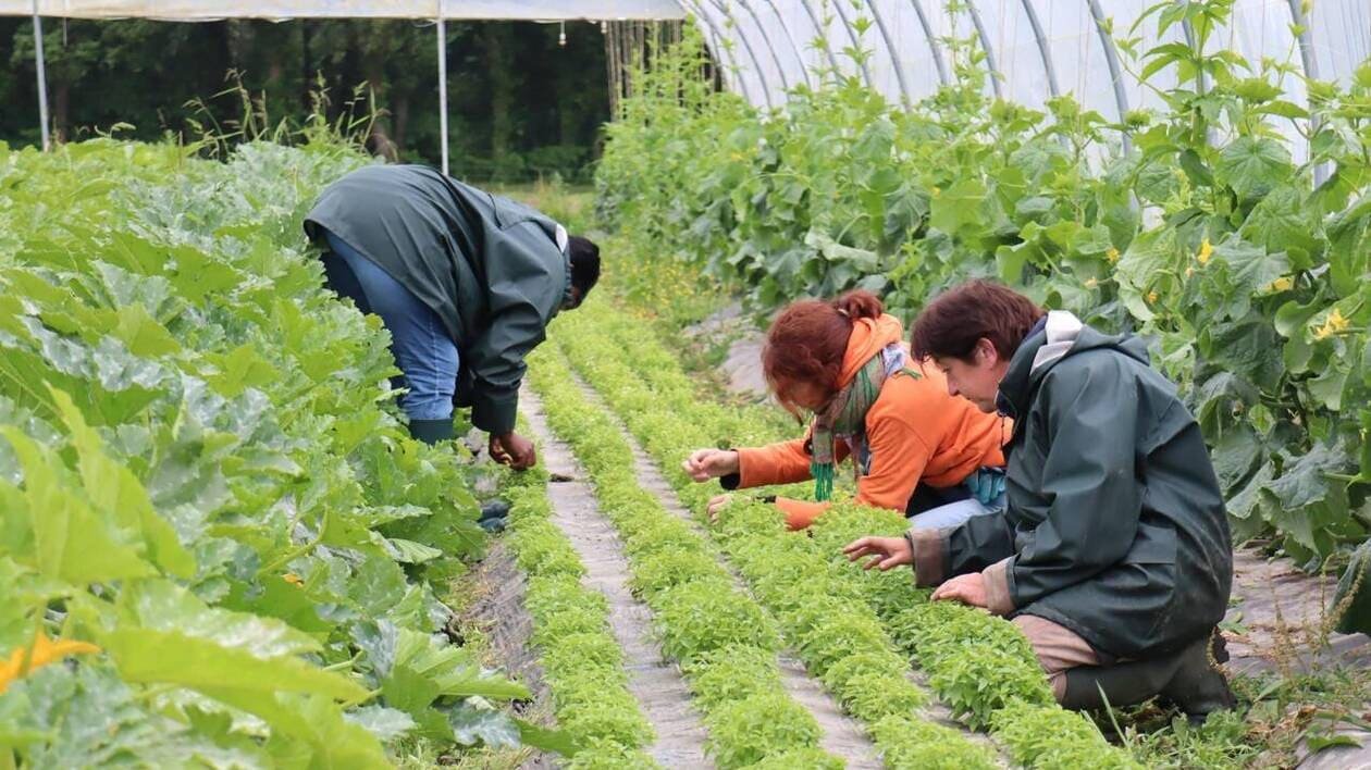 À Lorient, une demi-journée pour inciter à devenir agriculteur