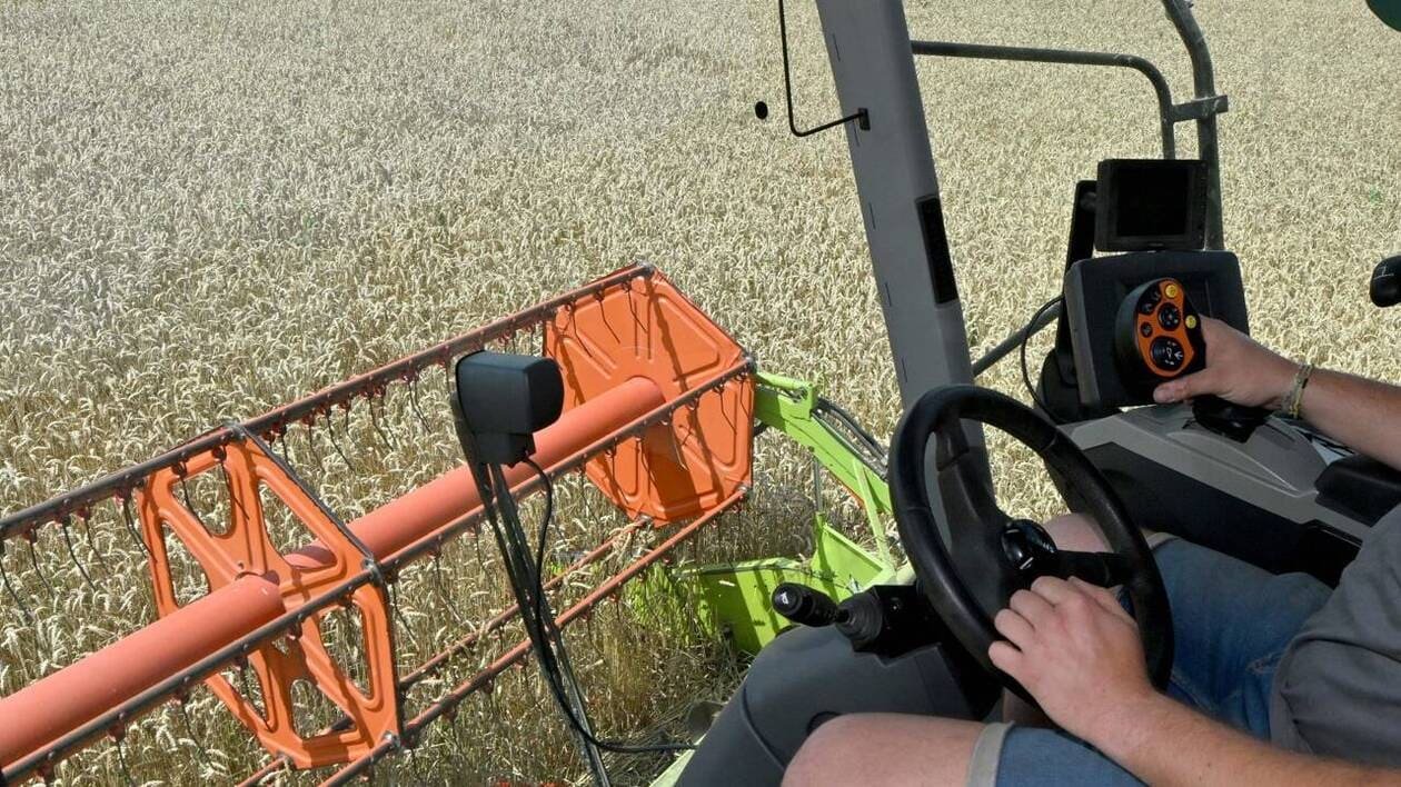 Ils se disent « chefs d’exploitation » ou « paysans » : qui sont les nouveaux agriculteurs ?