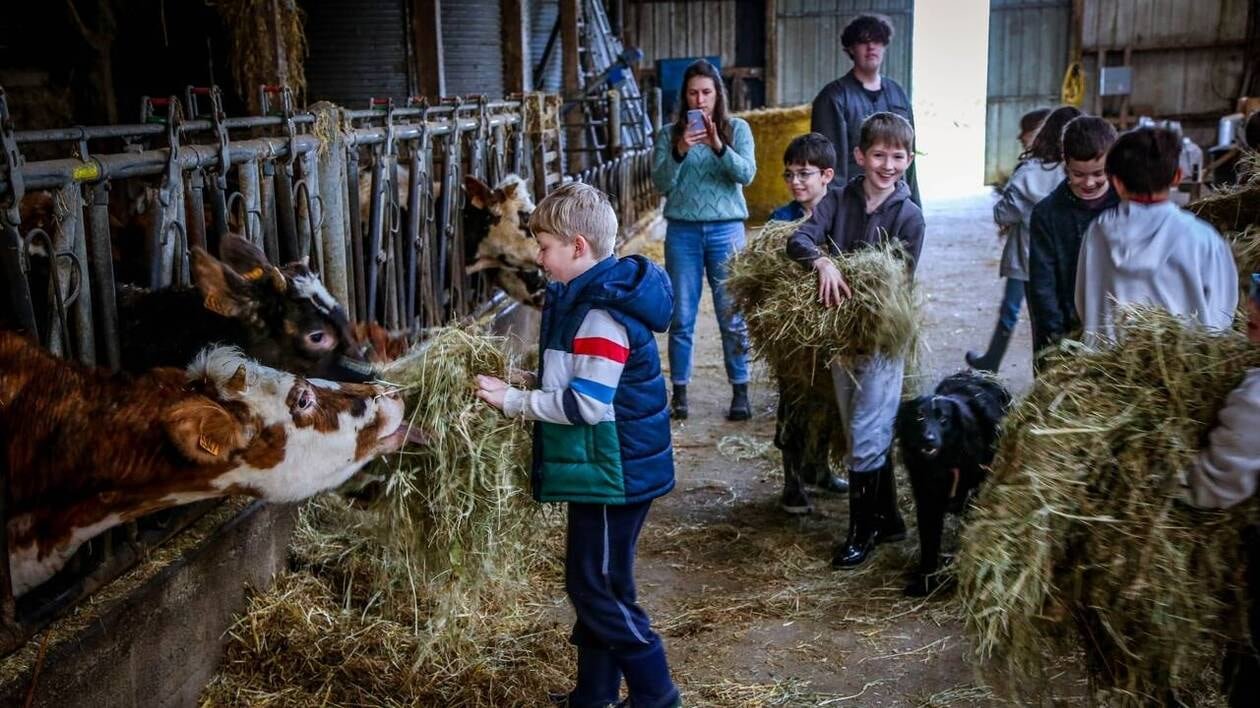 « C’est une sortie qui donne du sens » : dans le Finistère, des écoliers plongent au cœur de la vie de la ferm