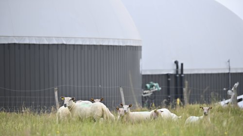 La Mayenne vise l’autonomie en biogaz à horizon 2050      - Agence API
