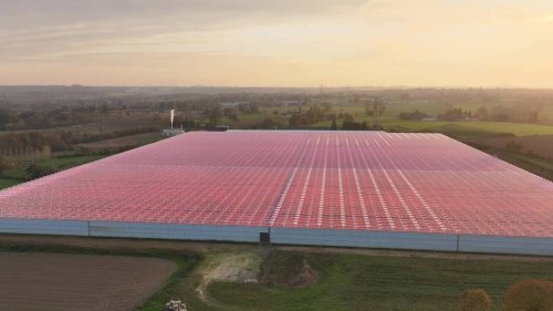 Serres industrielles de tomates à Isigny-le-Buat : les opposants restent en veille sur la suite