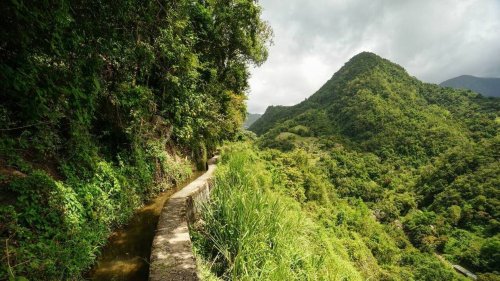 Parcours aux paysages époustouflants : voici les plus belles randonnées à faire en Martinique