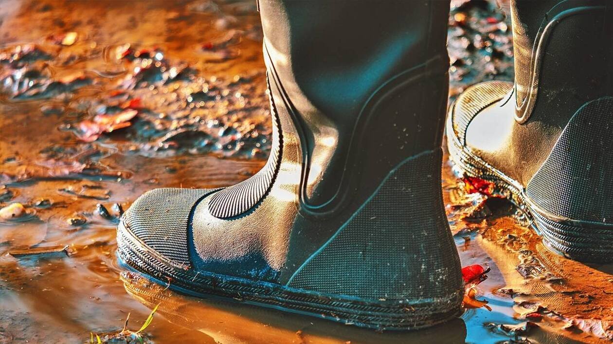 Cette jeune éleveuse de Saône-et-Loire veut devenir la nouvelle Miss France agricole