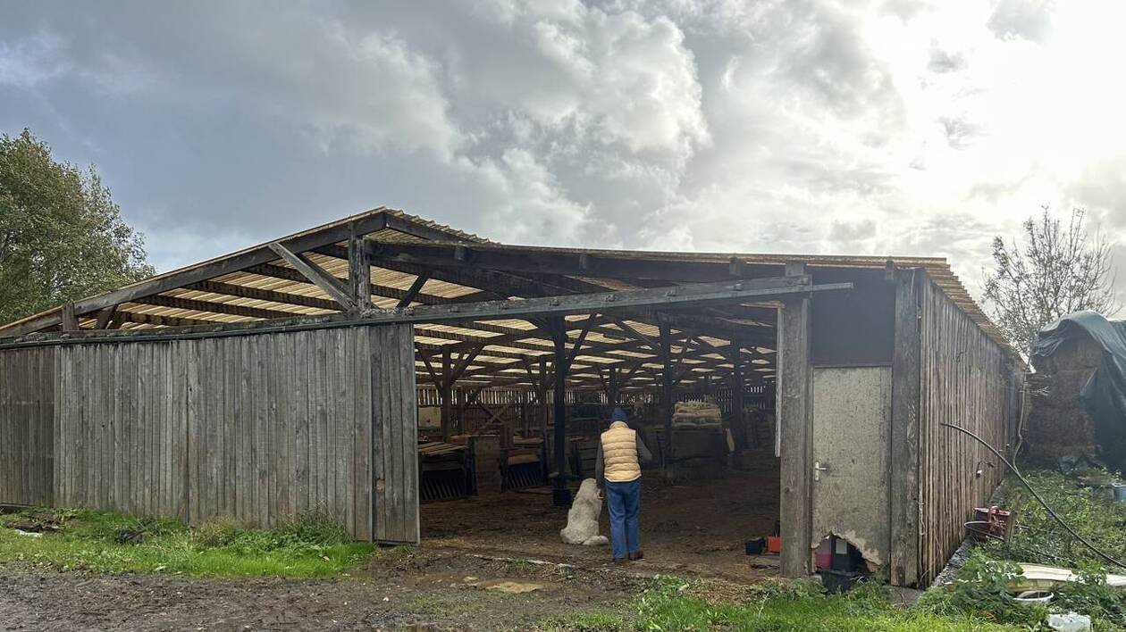 Bergerie de Genêts : dans une lettre ouverte, Manche Nature invite l’éleveur à relocaliser son exploitation