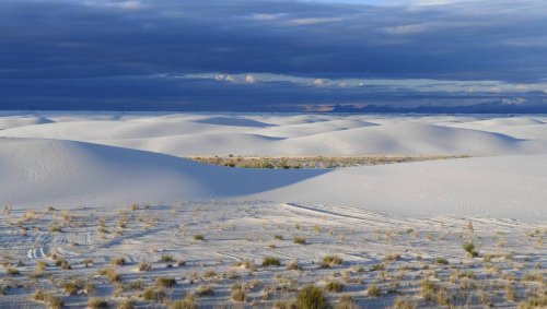 La découverte d’empreintes sème le doute sur l’arrivée de l’Homo sapiens en Amérique