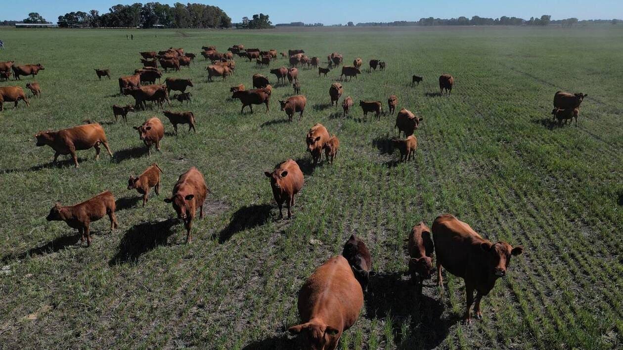 Les contrôles ne règlent pas tout : pourquoi beaucoup de produits agricoles importés ne respectent pas nos nor