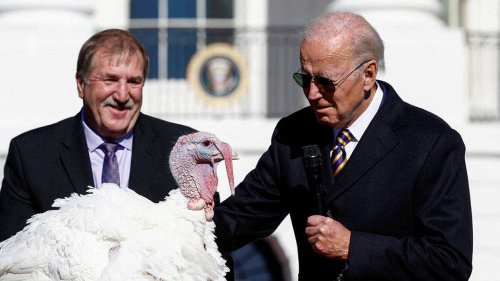 États-Unis. Joe Biden accorde sa grâce présidentielle à deux dindes avant Thanksgiving