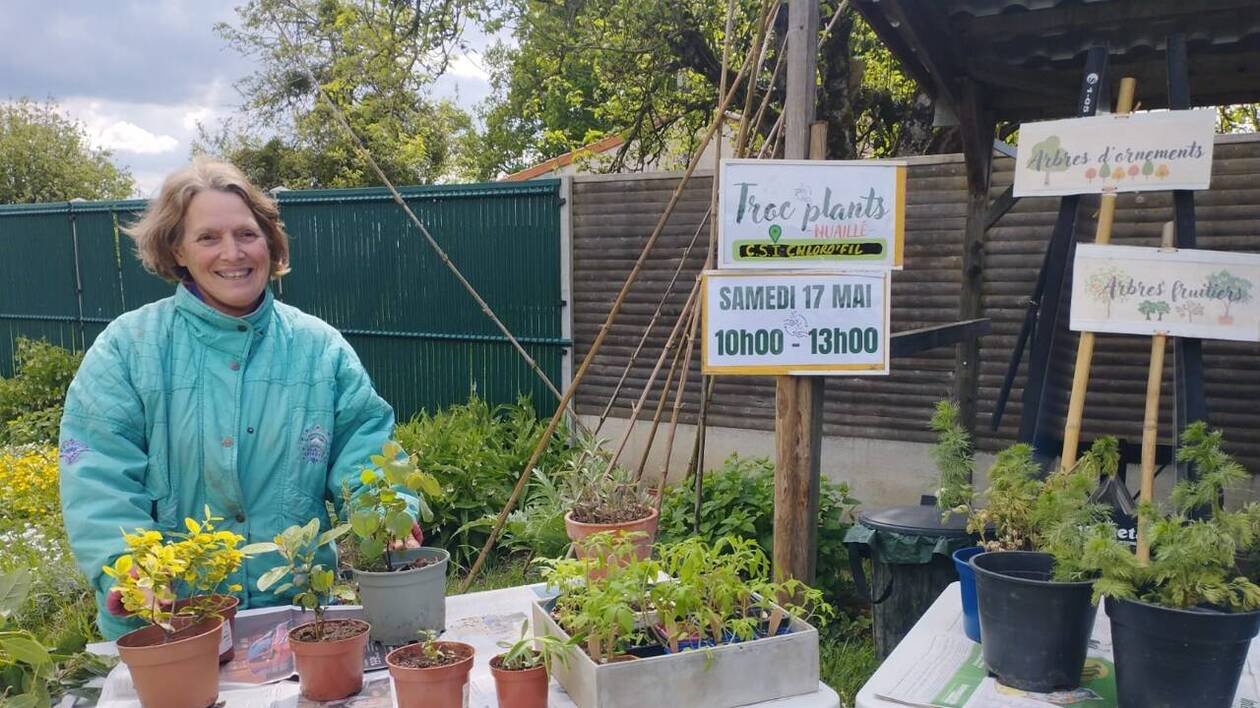 Le troc de plants une occasion pour renouveler son jardin, près de Cholet