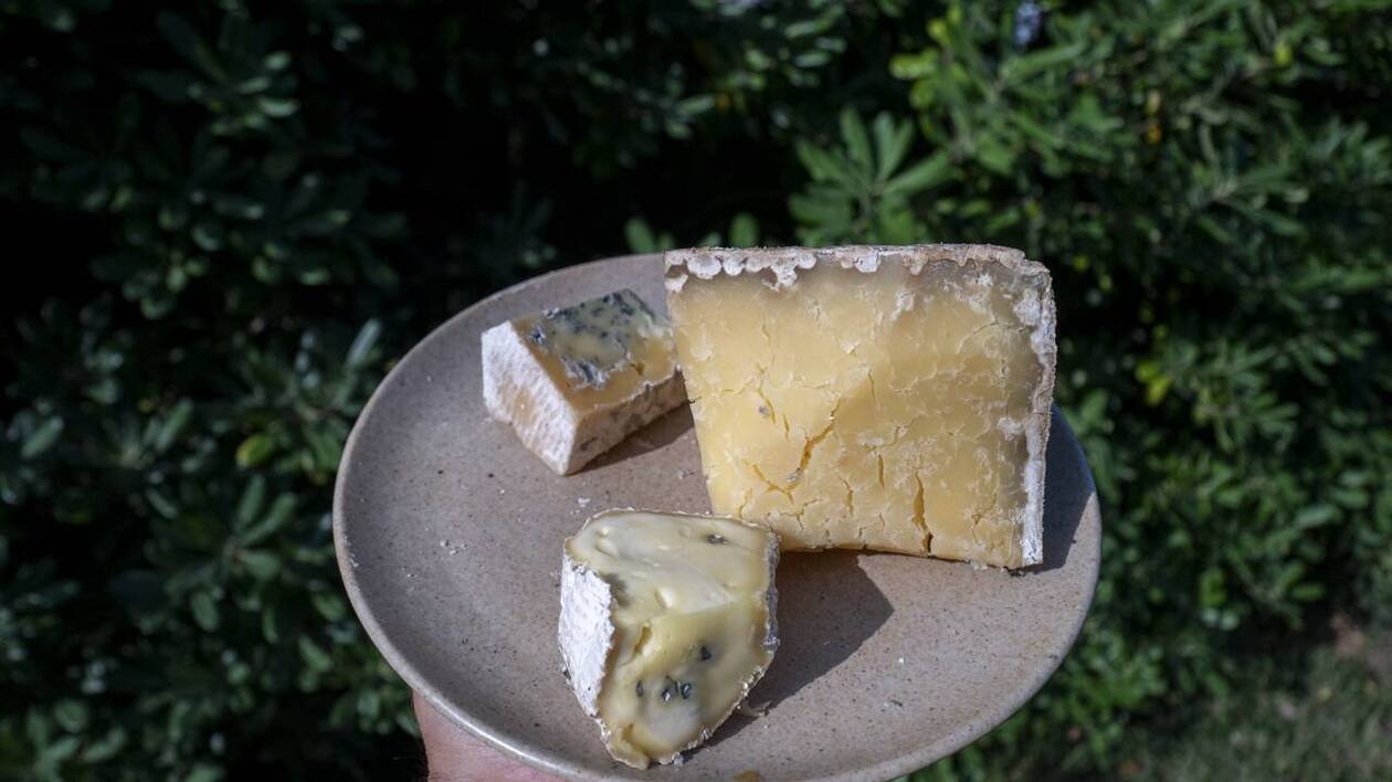Fromages : cinq pays européens concernés par cette « épidémie internationale » de listériose