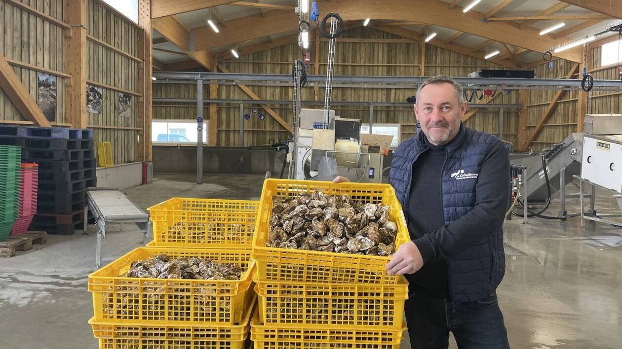 L’huître la Calvadosienne « charnue, agréable en bouche » est au Salon de l’agriculture à Paris