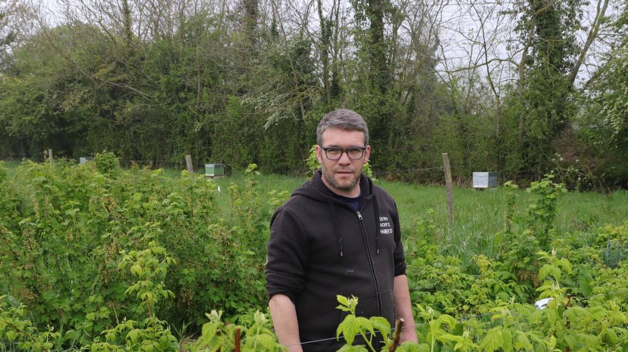 À Colleville-sur-Mer, le Champ-des-oiseaux promet une récolte de fruits rouges record