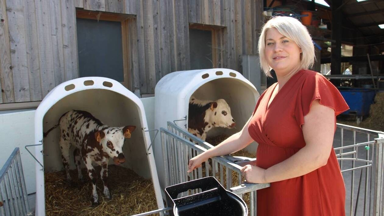La ferme Nat’lait se visite chaque mercredi de l’été dans l’Orne