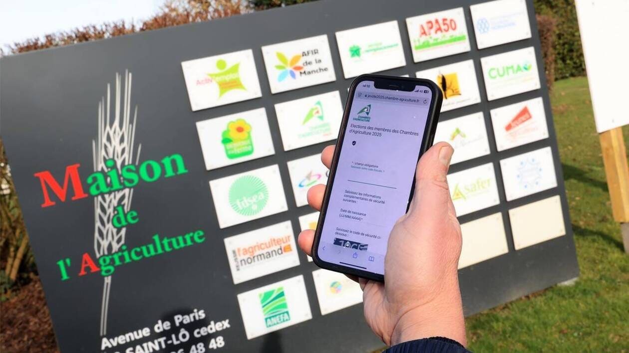 Élections dans les Chambres d’agriculture : des dysfonctionnements selon la Confédération paysanne