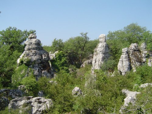 La France côté nature : le bois de Païolive et les gorges du Chassezac