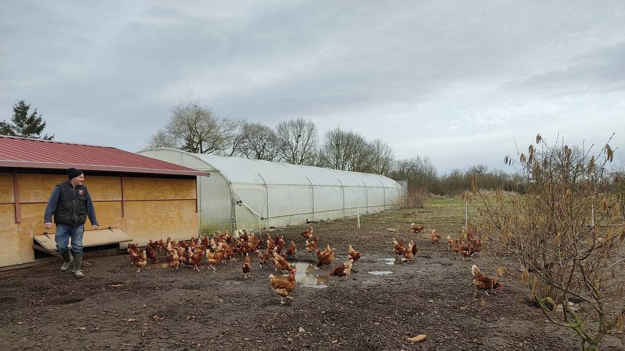 De vrais œufs bio à la cantine, c’est possible : les professionnels en font la démonstration