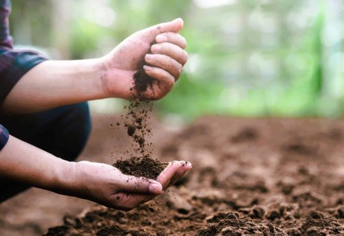 Ces 3 solutions faciles transforment votre sol lourd et argileux en terre fertile, souple et prête à planter !