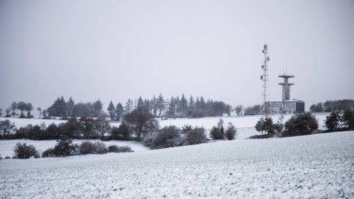 Après l’épisode de neige de 2024, les agriculteurs de 61 communes d’Anjou pourront être indemnisés