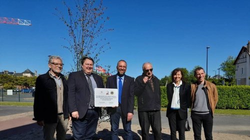 Des travaux ont été réalisés dans les extérieurs de la future crèche de Cabourg