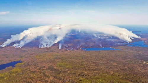 Canada. Feux de forêts et vague de chaleur extrême dans l’est du pays