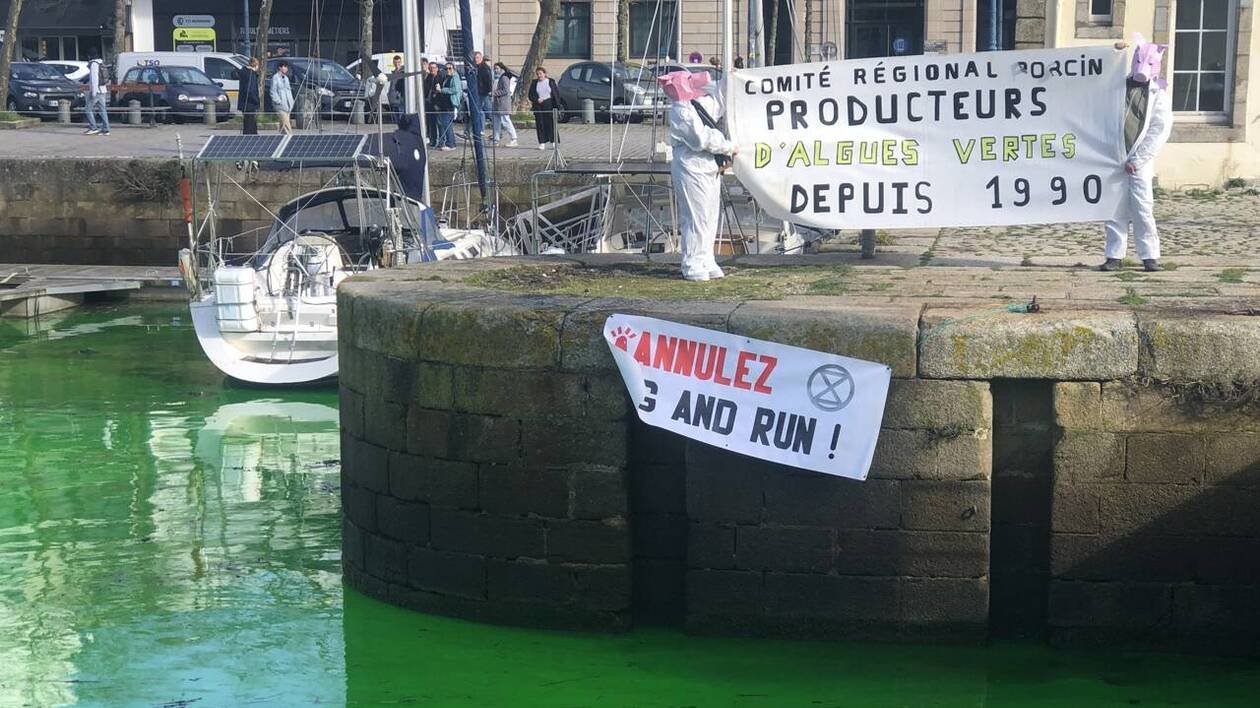 À Lorient, une enquête ouverte après le déversement d’un colorant vert dans le port de plaisance
