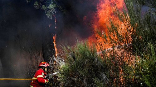 EN IMAGES. Au Portugal, un feu de forêt ravage un parc naturel classé par l'Unesco
