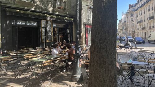 Des militants d’extrême droite attaquent la terrasse du bar Au chien stupide à Nantes
