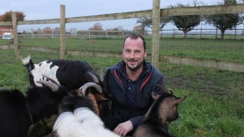 Ce Breton de 39 ans aimerait être élu Mister agricole pour « valoriser l’agriculture française »