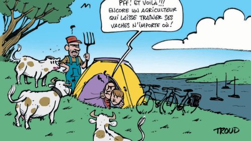 « Les gens traversent nos champs » : à Vannes, tourisme et agriculture se disputent les terres