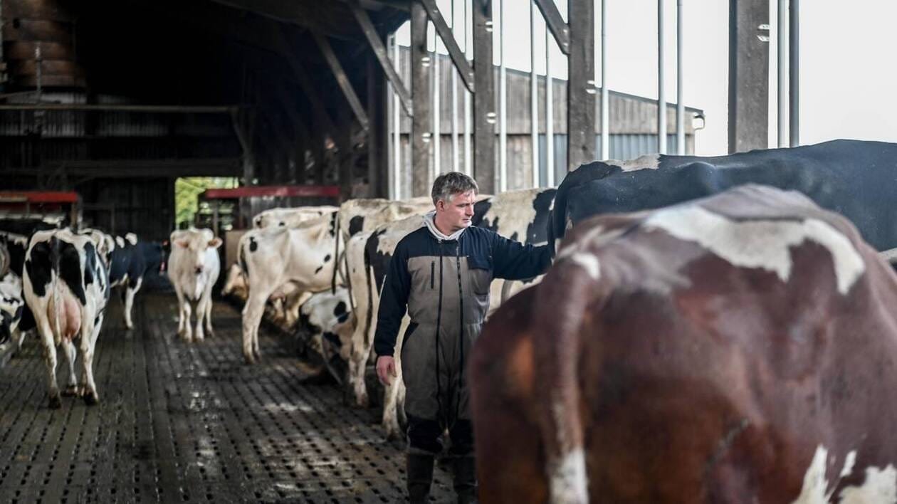 Agriculture. Ouest’Lait propose de négocier avec le groupe Savencia