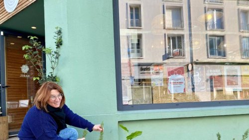 « Ça égaye les rues ! » : à Brest, ces commerçants remplacent le bitume par des plantes