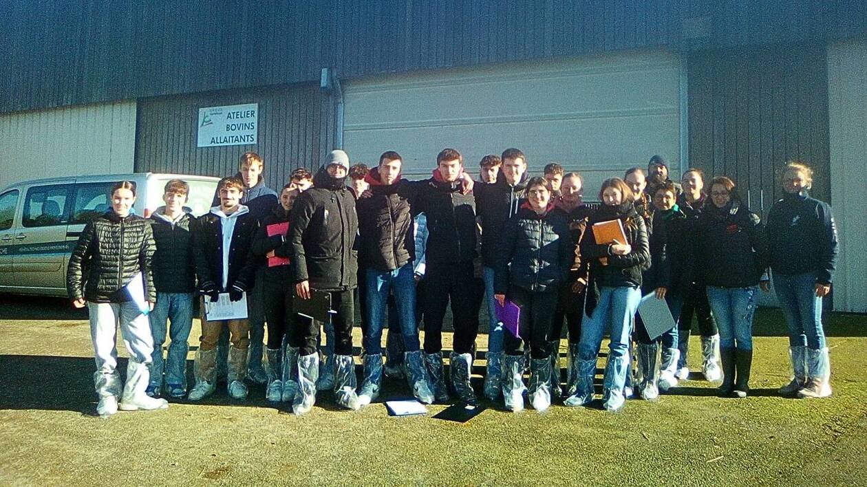 Ils ont participé au concours de jugement d’animaux du Morbihan : le meilleur ira au Salon de l’agriculture de