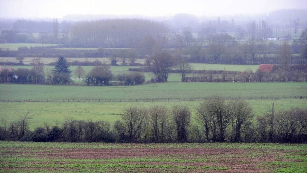 Dérogation pour la taille des haies : « N’oublions pas que la biodiversité s’effondre » | Le Maine Libre
