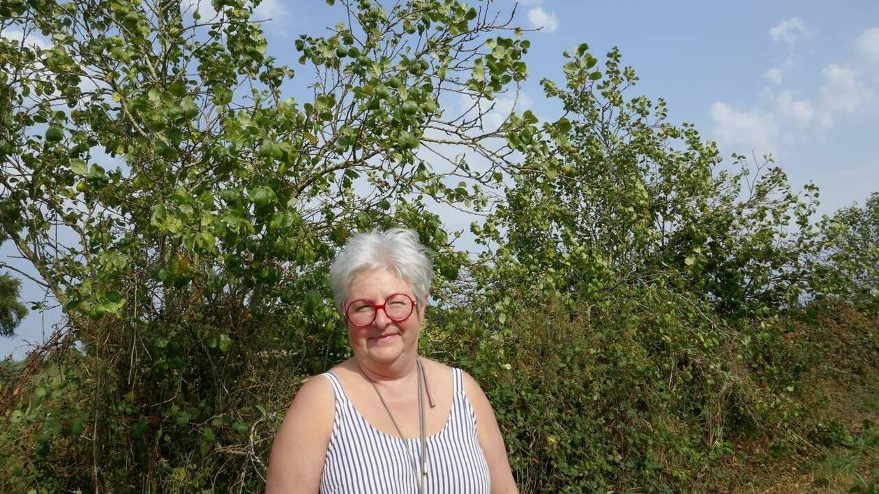 « Tout a été ramassé » : cette paysanne bretonne s’est fait voler toutes les prunes de ses arbres