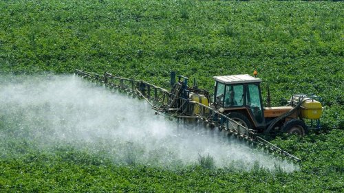 Réduction des pesticides : le gouvernement fait le point, l’indicateur choisi reste contesté