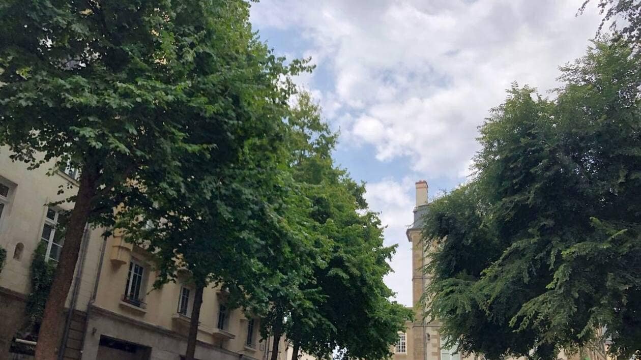Après Paris, Lyon et Grenoble, il développe à Rennes une carte qui recense les arbres fruitiers
