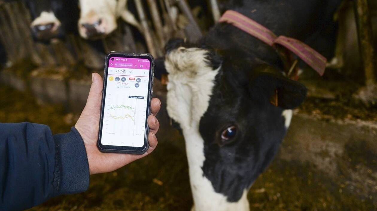 Fuite à l’étranger, risque de spéculations… Le Big Data agricole, ce nouvel or si peu encadré