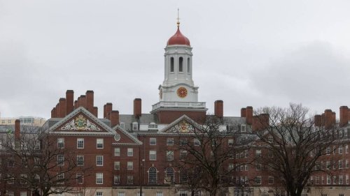 États-Unis : deux rapports internes concluent à un climat antisémite et antimusulman à Harvard