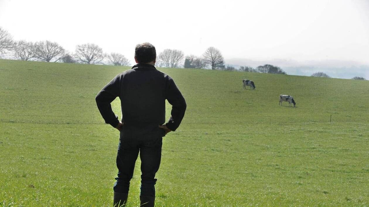Projet de budget 2026 : les agriculteurs en difficulté « sacrifiés » selon Solidarité paysans
